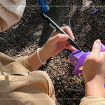 在綁樹帶寫上樹種及編號(hào)，每一顆樹都有了印記，都是經(jīng)由新業(yè)職人團(tuán)隊(duì)的專業(yè)見解，及審慎評(píng)估後決定出的結(jié)果。我們相信：「不只是我們選樹，樹也在選擇一個(gè)值得託付終身的對(duì)象」。