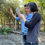 林宜鋒建築師(右一) 與景觀設(shè)計(jì)團(tuán)隊(duì)從不同方向繞樹觀察評(píng)估，擇樹考量的方方面面，任何角度都要達(dá)到美的平衡。