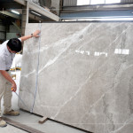 石材表面帶有自然的紋理與色澤，彷彿大地沉積歲月的筆觸，內(nèi)斂卻蘊(yùn)含力量，新業(yè)職人以獨(dú)到眼光揀選，成為空間裡最具靈魂的表達(dá)。