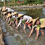 大熱天不忘抬頭對著攝影師say Cheese！