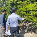 羅漢松為東亞地區(qū)常見的常綠樹木，樹枝柔韌且抗風(fēng)性強(qiáng)，更有象徵幸福安康、健康富貴之意，可謂是造景設(shè)計(jì)的首選。