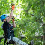 注視著樹頂?shù)墓庥?，設(shè)定小小的目標(biāo)，努力在有限的時(shí)間內(nèi)達(dá)到樹冠層。