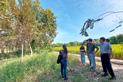 新業(yè)心選品｜築之細(xì)道 在地選樹(shù)
