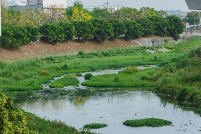 新業(yè)愛地球｜淨(jìng)一條溪，流傳一份美好心意