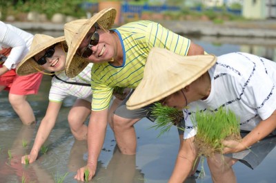新業(yè)，一畝田插秧體驗(yàn)日