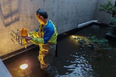 新業(yè)心生活｜用光影照亮回家的路