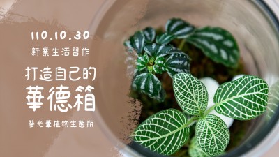生活習(xí)作 × 打造自己的華德箱－螢光蕈植物生態(tài)瓶 