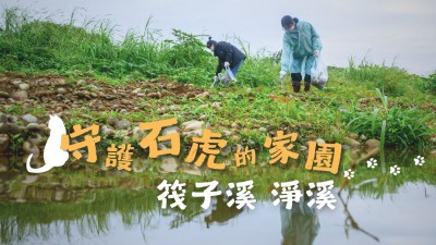 新業(yè) 筏子溪淨溪｜守護石虎的家園